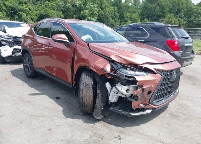 2025 LEXUS NX
