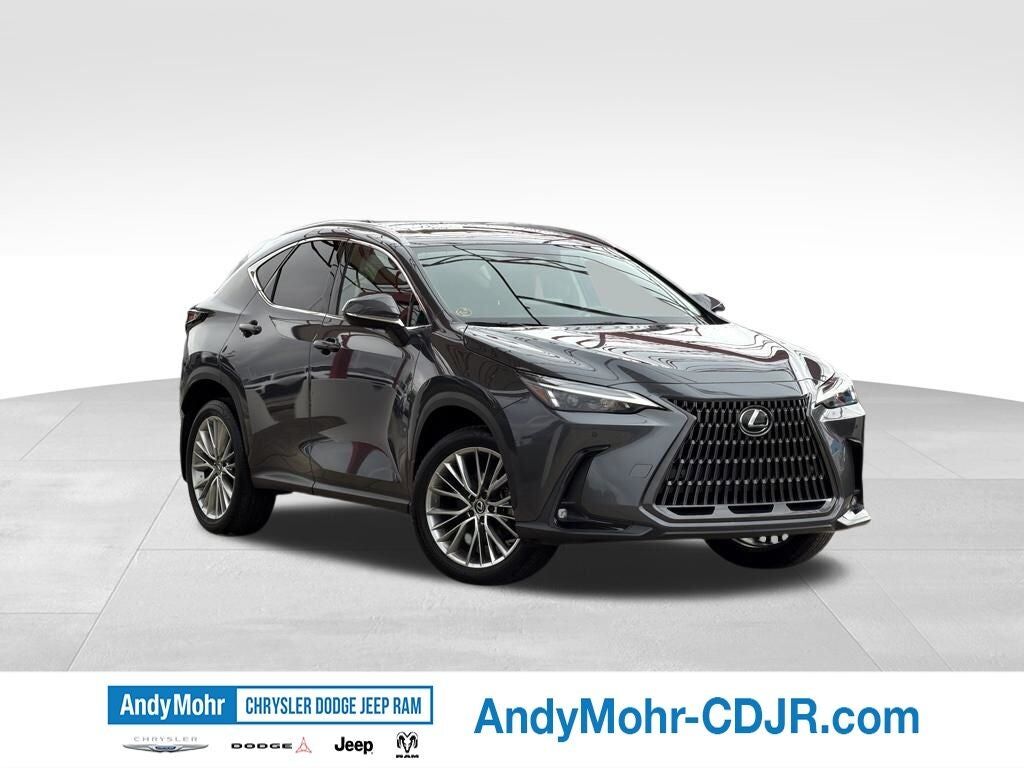 2025 LEXUS NX