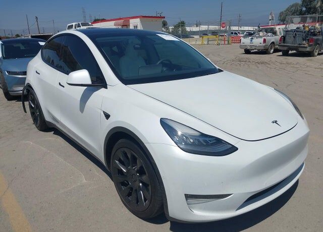 2021 TESLA Model Y