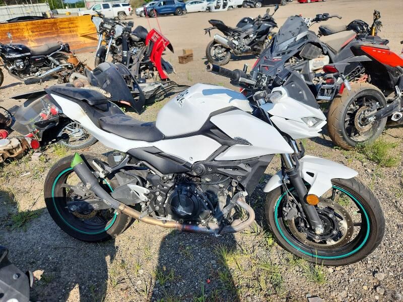 2024 KAWASAKI Z500