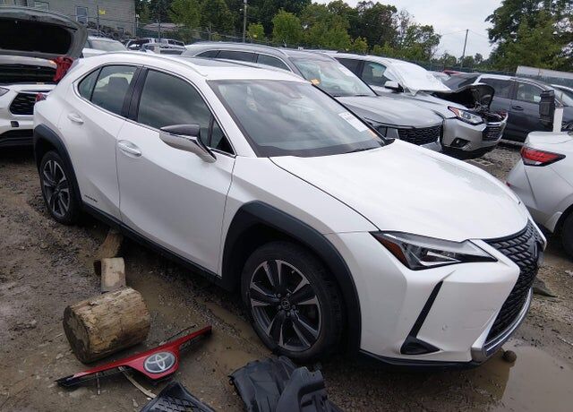 2020 LEXUS UX