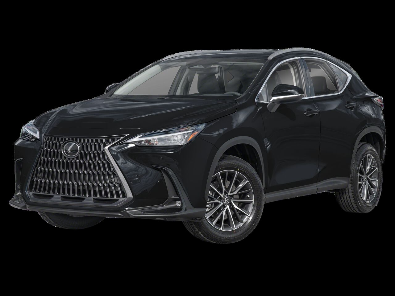 2024 LEXUS NX
