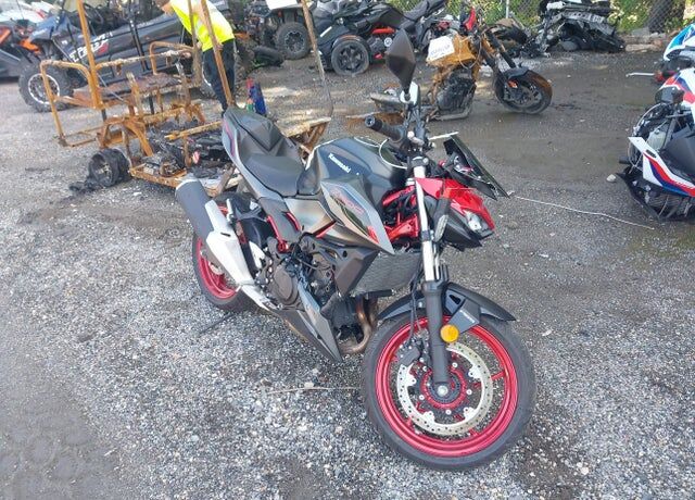 2025 KAWASAKI Z500