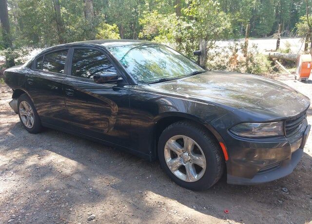 2019 DODGE Charger