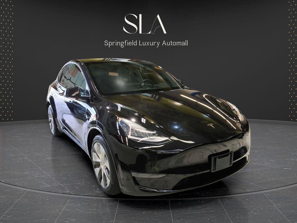 2020 TESLA Model Y