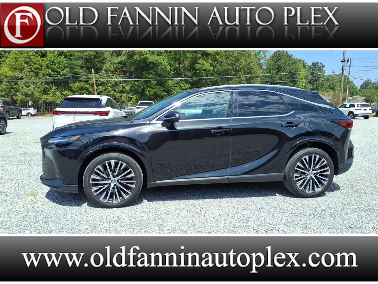 2024 LEXUS RX