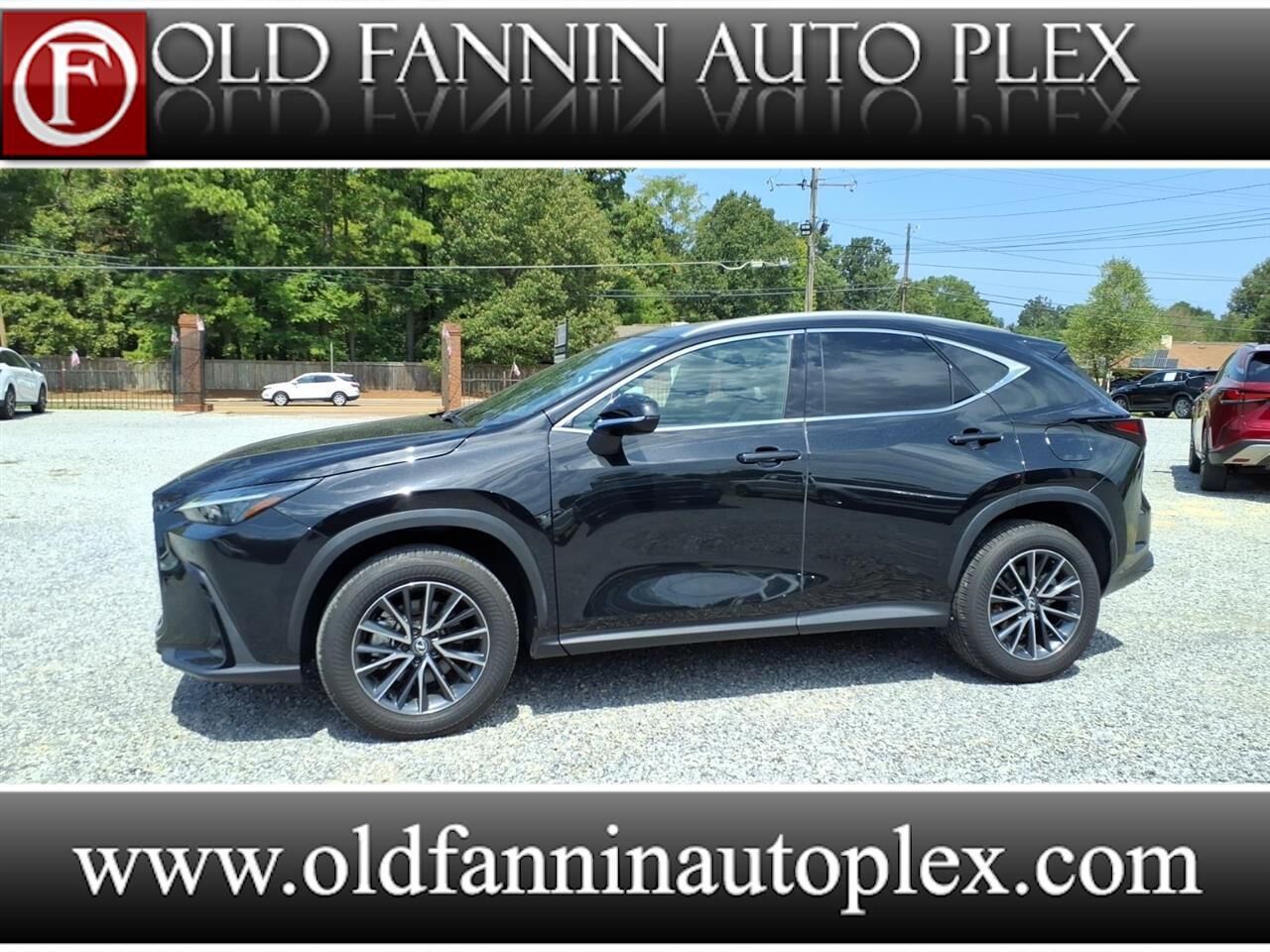 2024 LEXUS NX