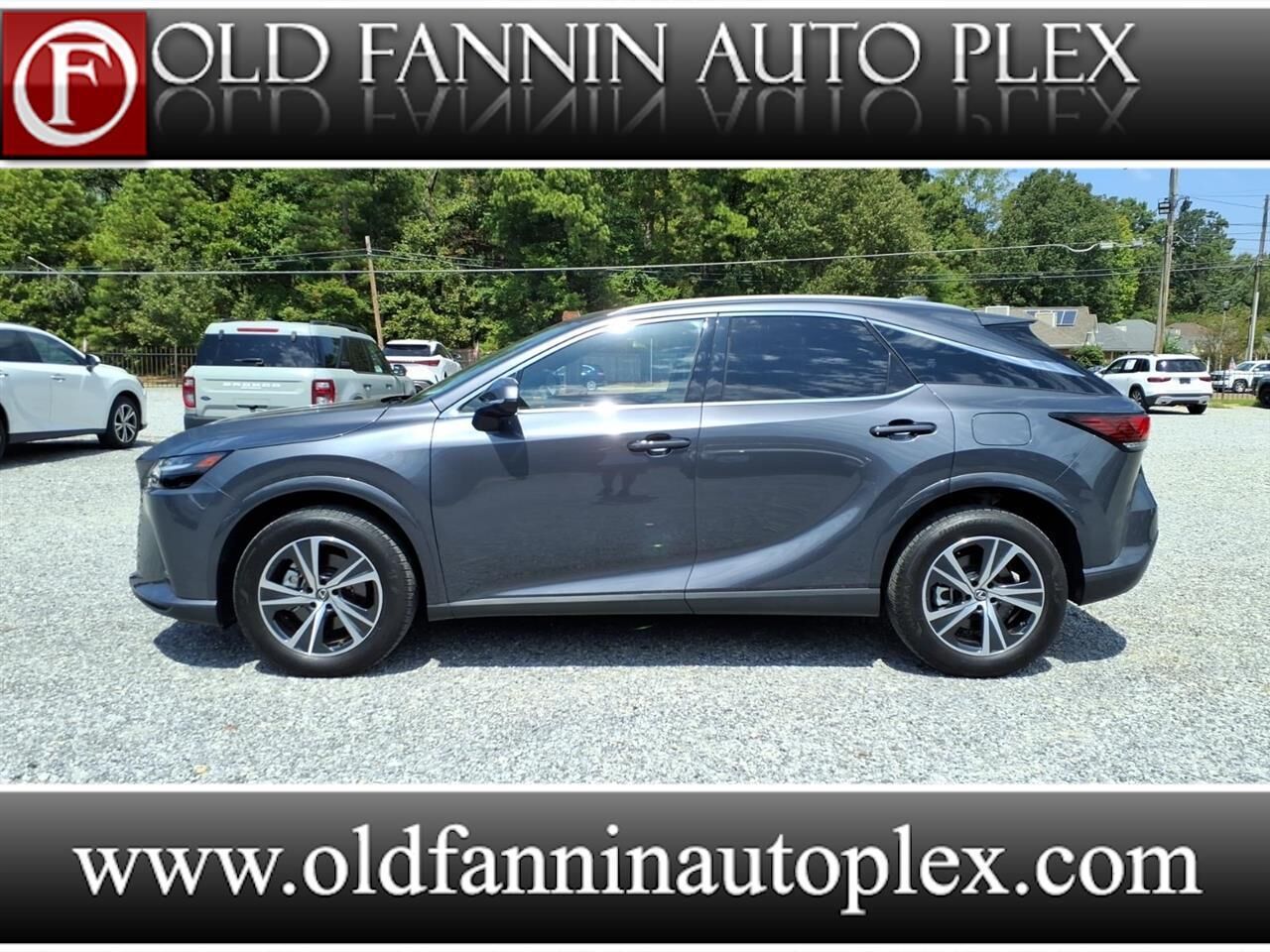 2025 LEXUS RX