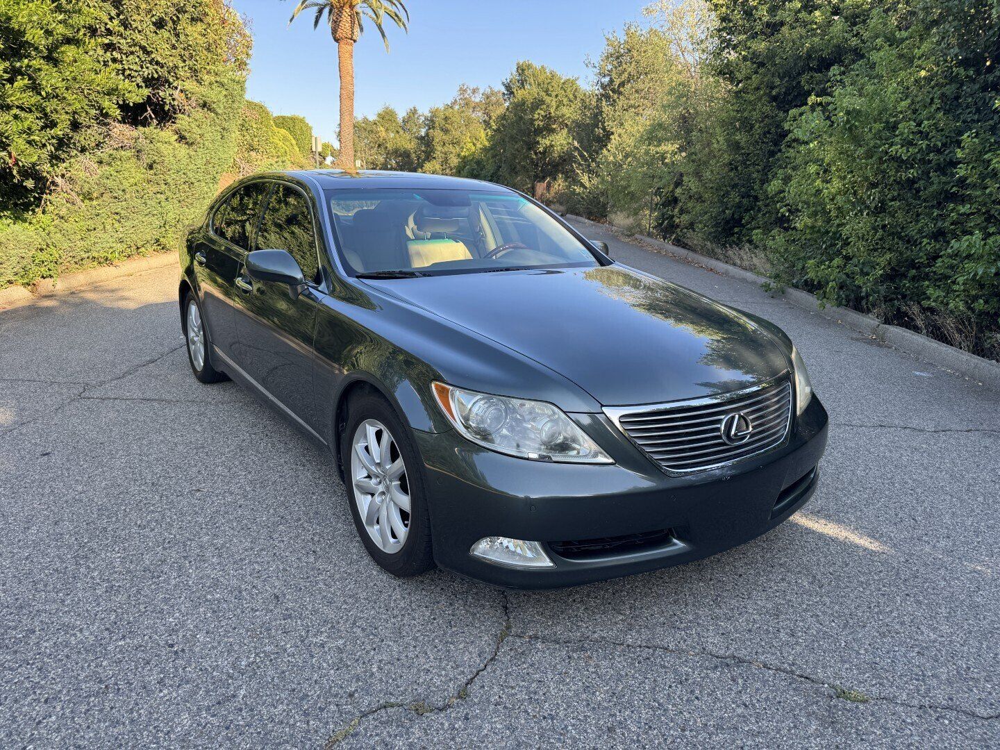 2007 LEXUS LS