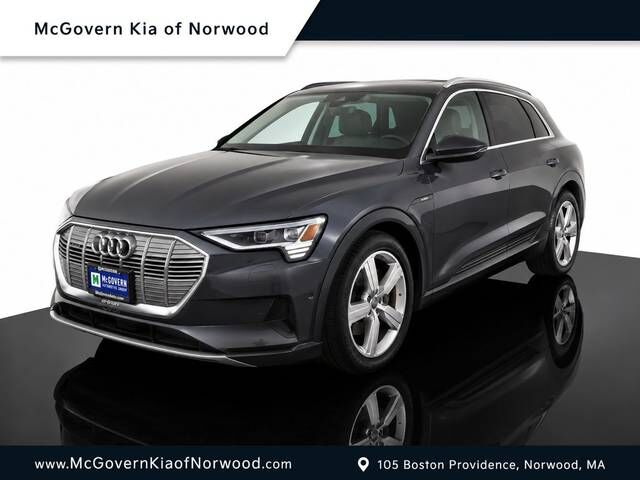 2019 AUDI e-tron