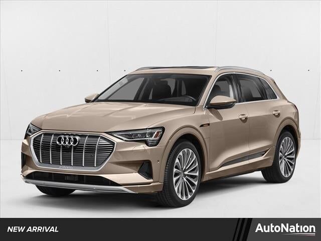 2019 AUDI e-tron