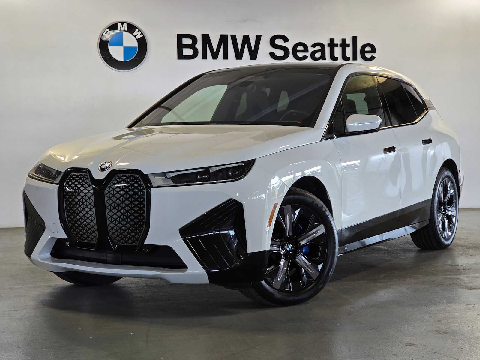 2024 BMW ix