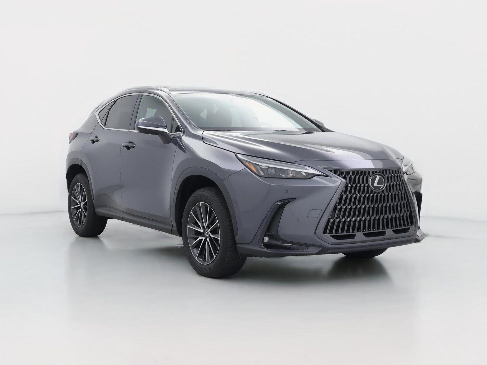 2024 LEXUS NX