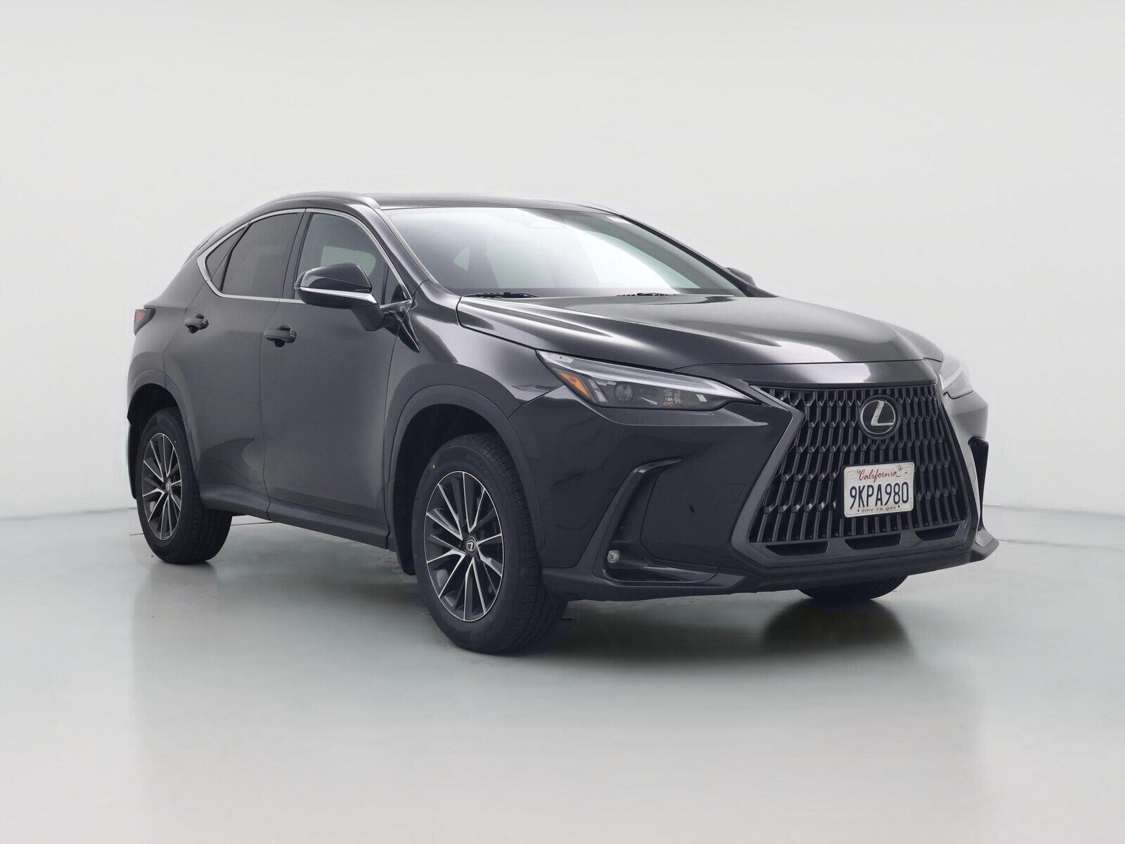 2024 LEXUS NX