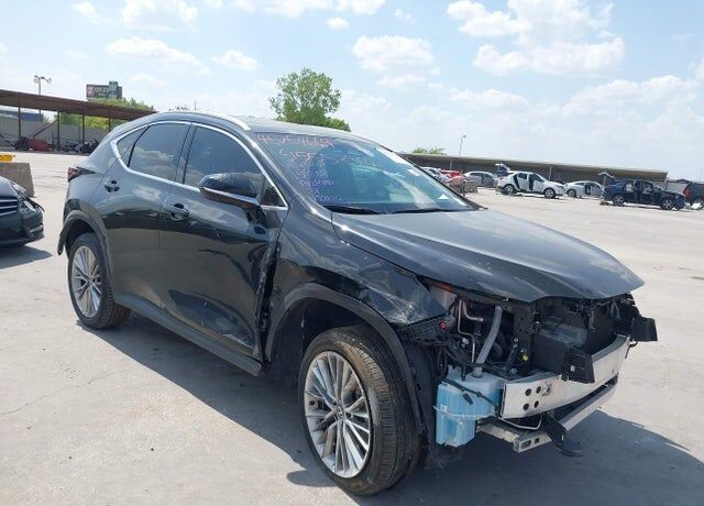 2025 LEXUS NX