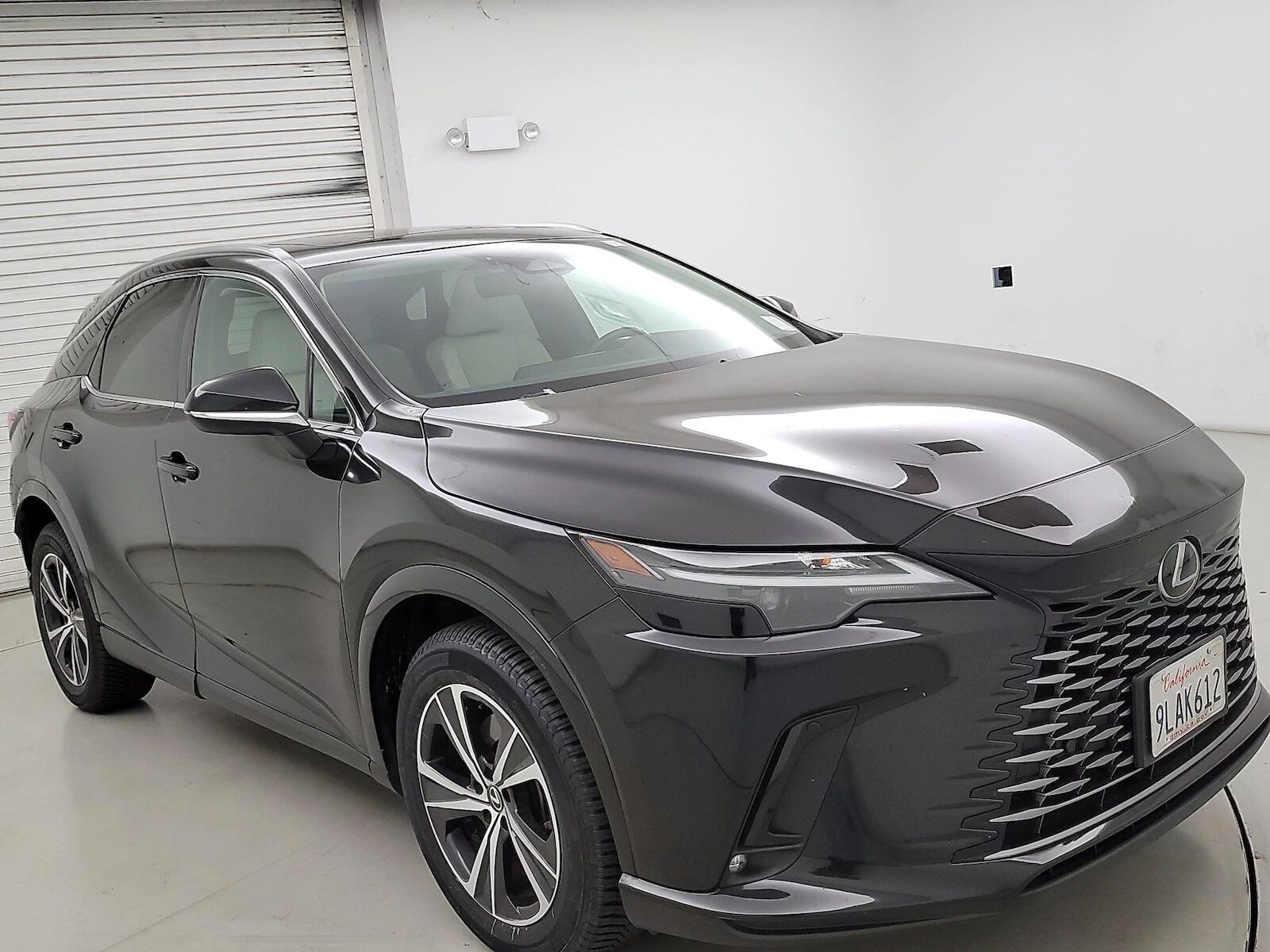2024 LEXUS RX