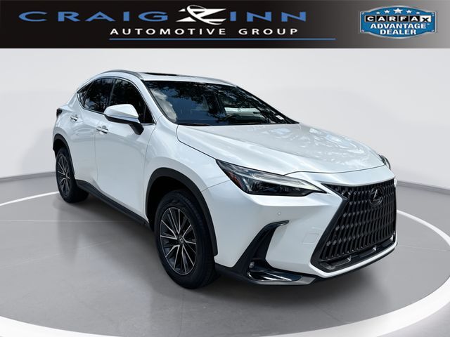 2024 LEXUS NX