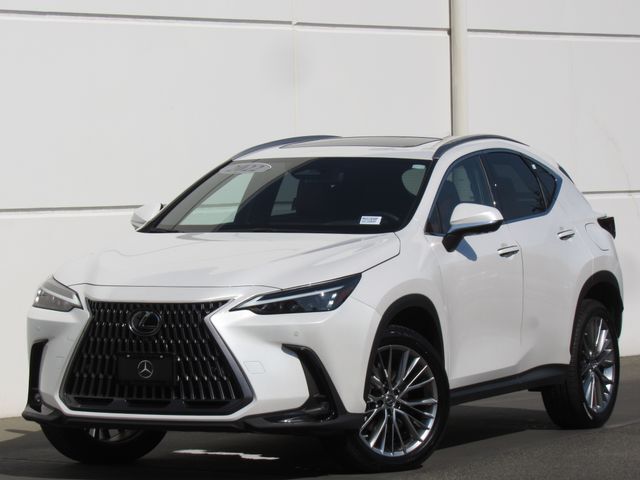 2022 LEXUS NX