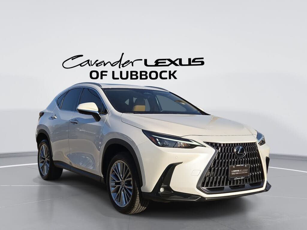 2025 LEXUS NX