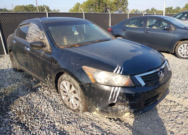 2010 HONDA Accord