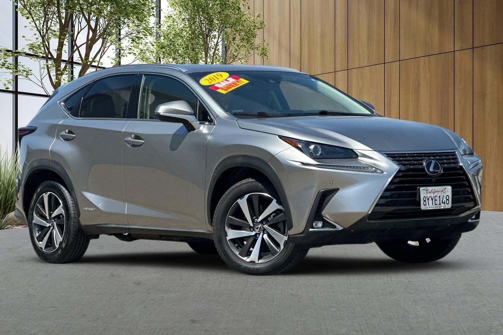 2019 LEXUS NX