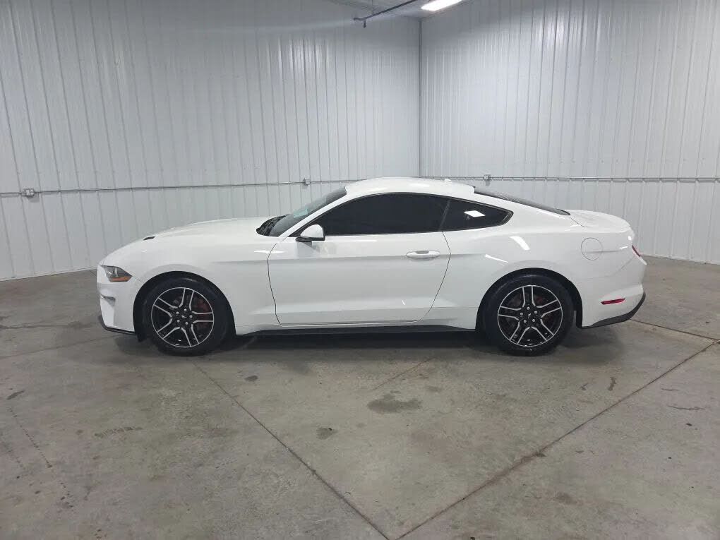 2019 FORD Mustang