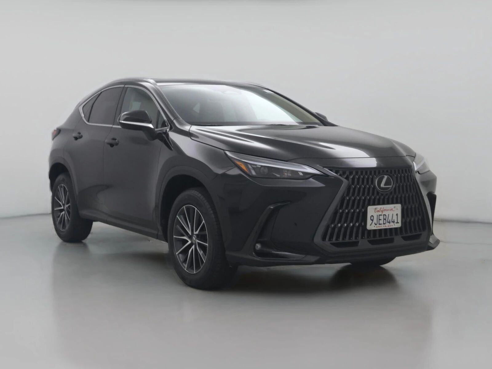 2024 LEXUS NX