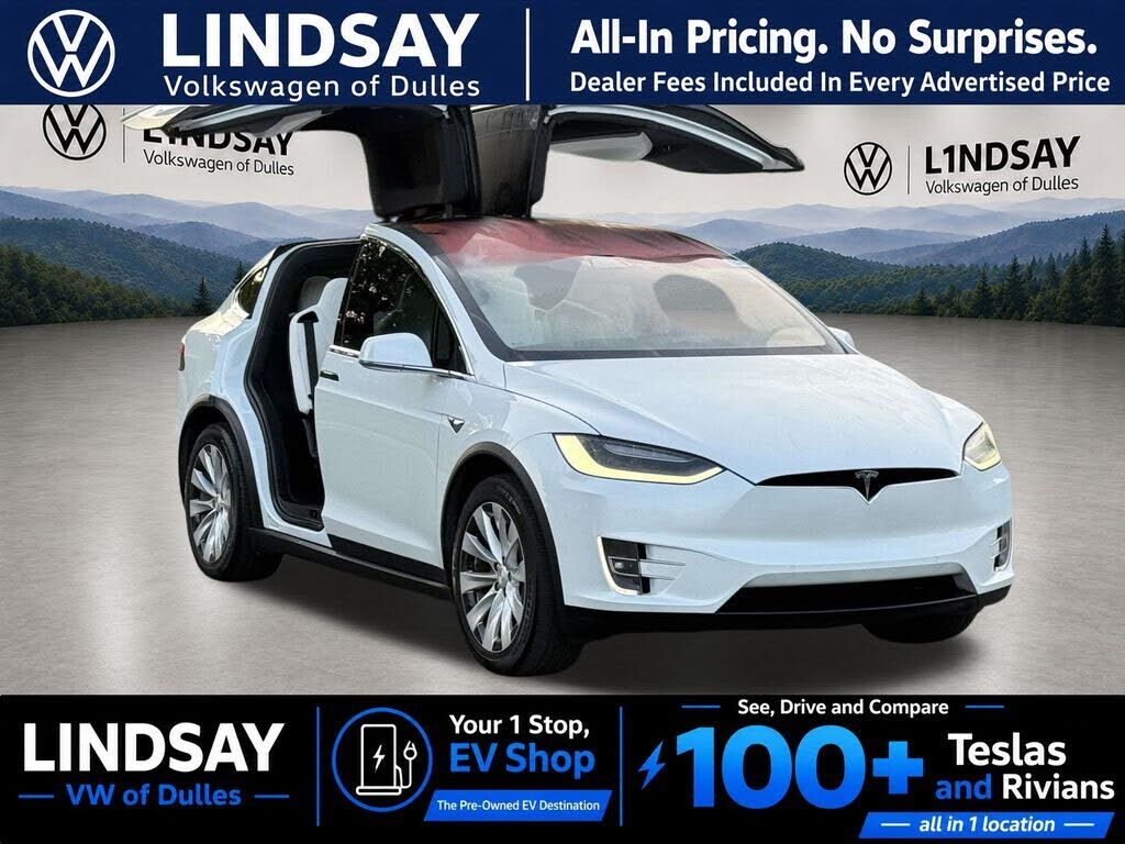 2019 TESLA Model X
