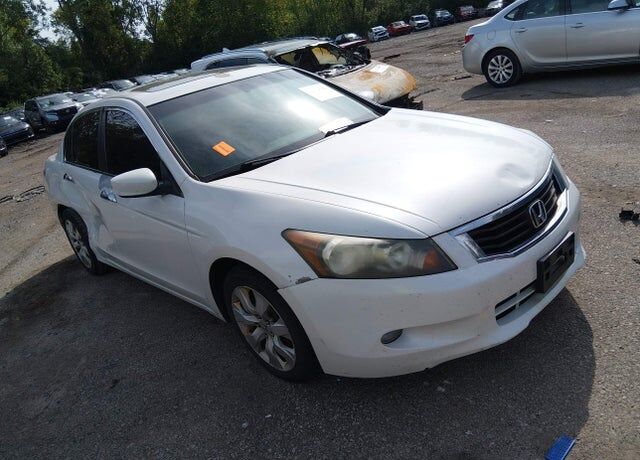 2010 HONDA Accord
