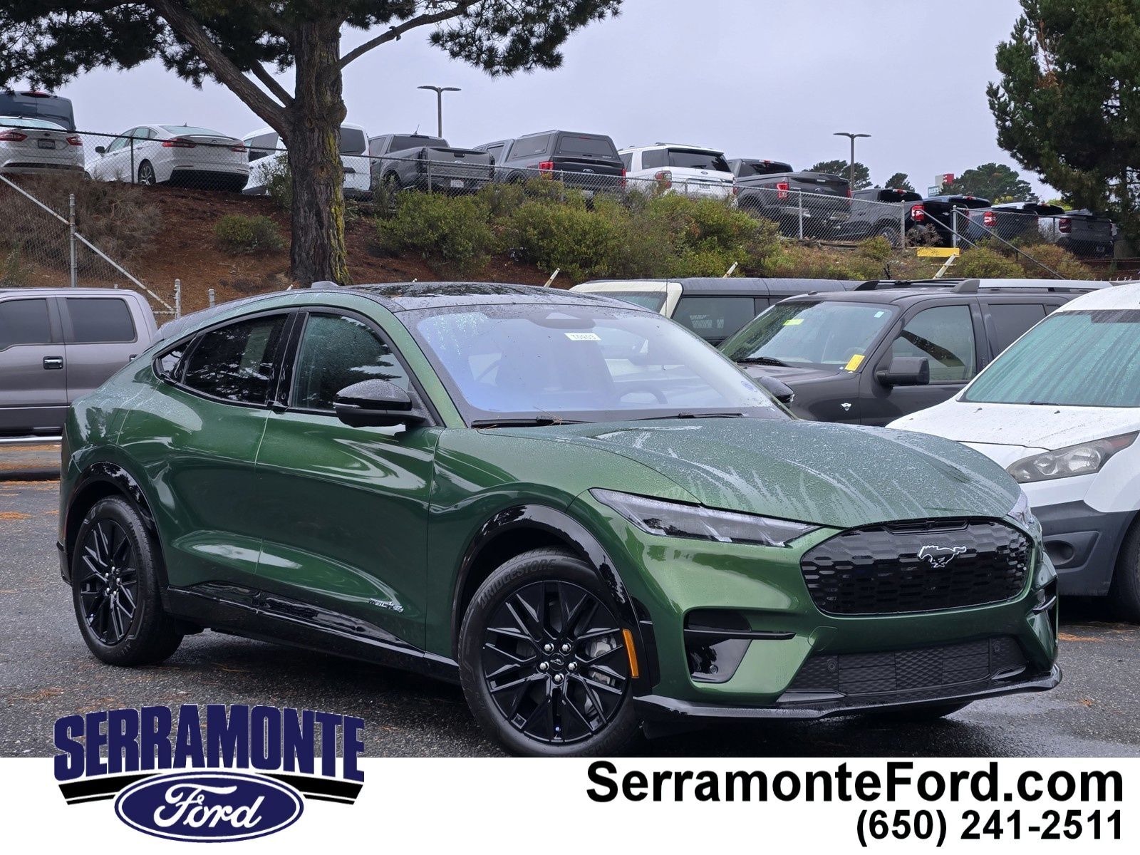 2026 FORD Mustang
