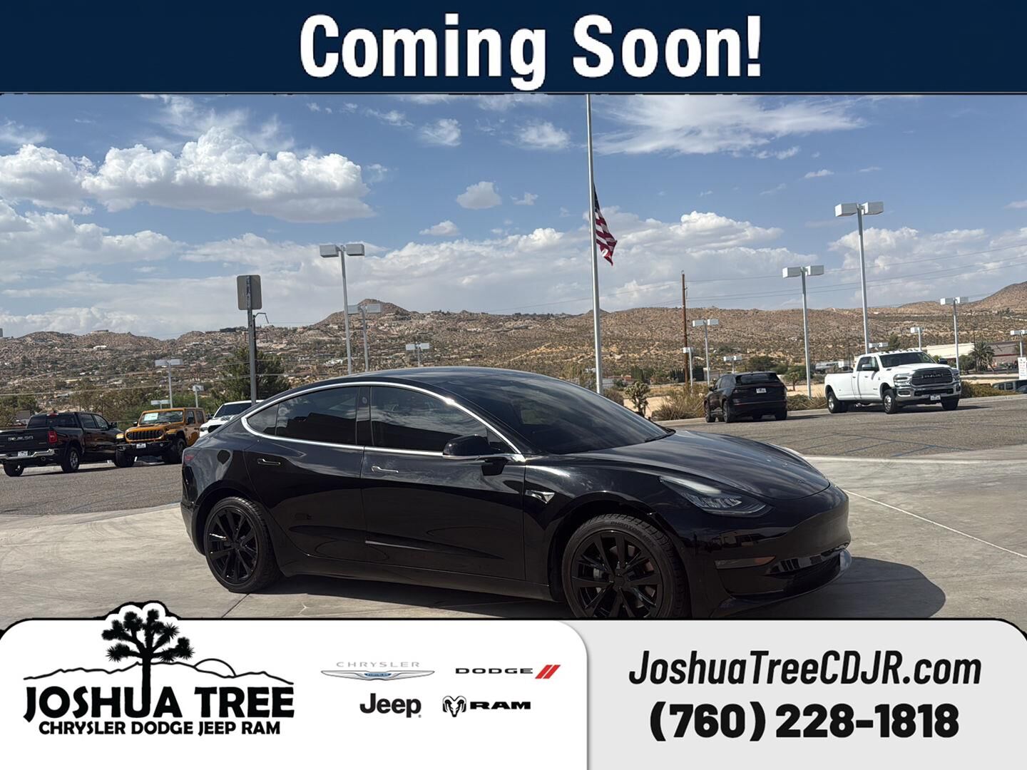 2019 TESLA Model 3