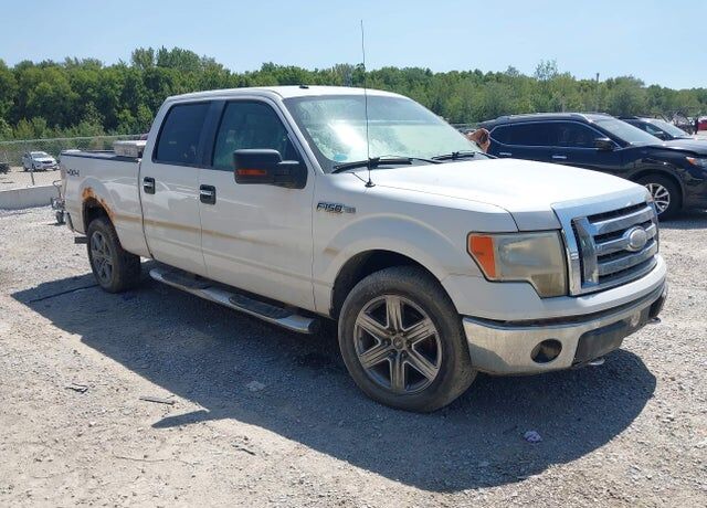 2009 FORD F-150