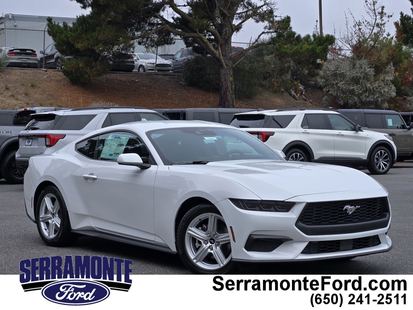 2026 FORD Mustang
