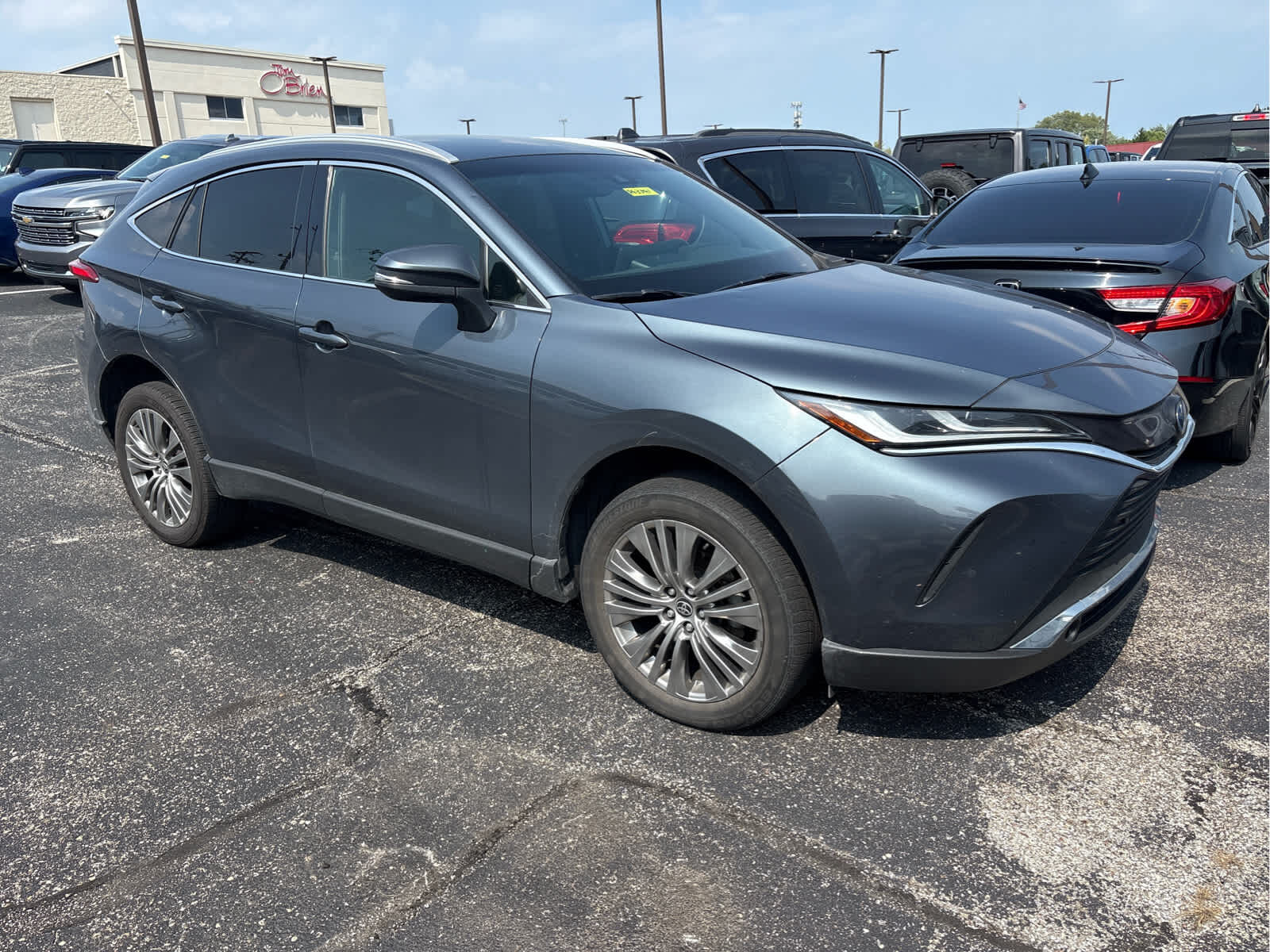 2023 TOYOTA Venza