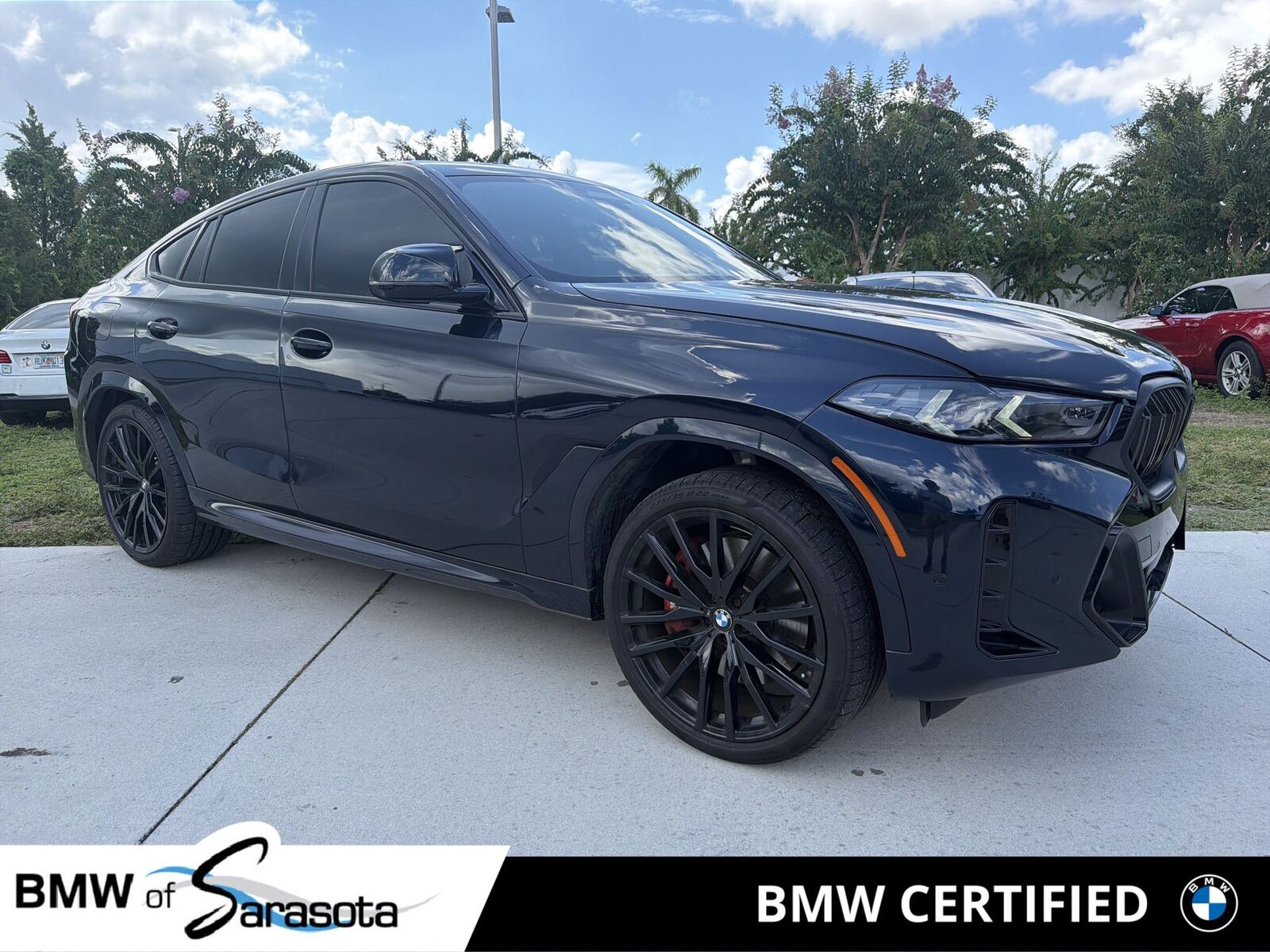 2025 BMW X6