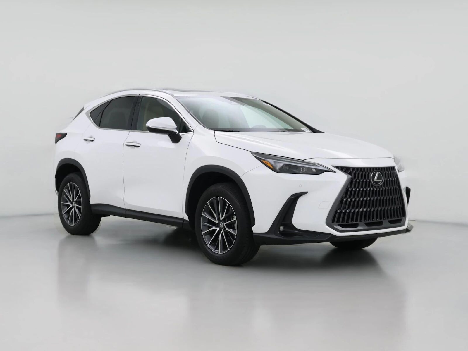 2026 LEXUS NX