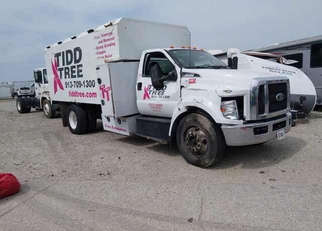 2024 FORD F-650