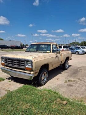 1981 DODGE D-Series