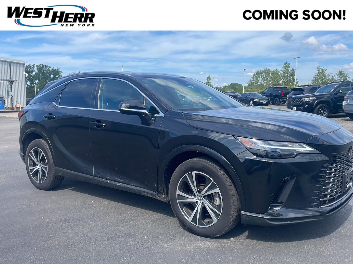 2025 LEXUS RX