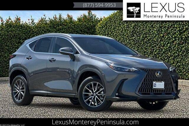 2026 LEXUS NX