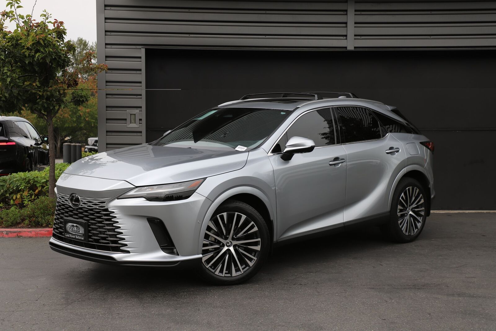 2024 LEXUS RX