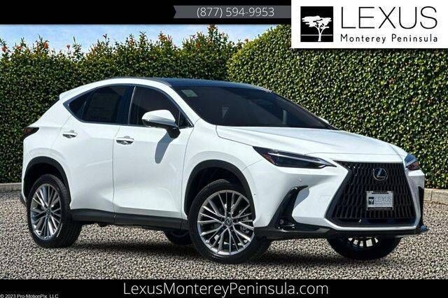 2026 LEXUS NX