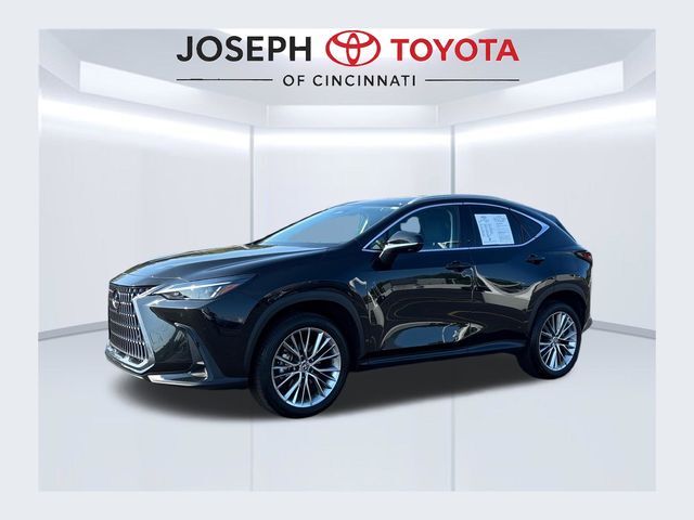 2025 LEXUS NX