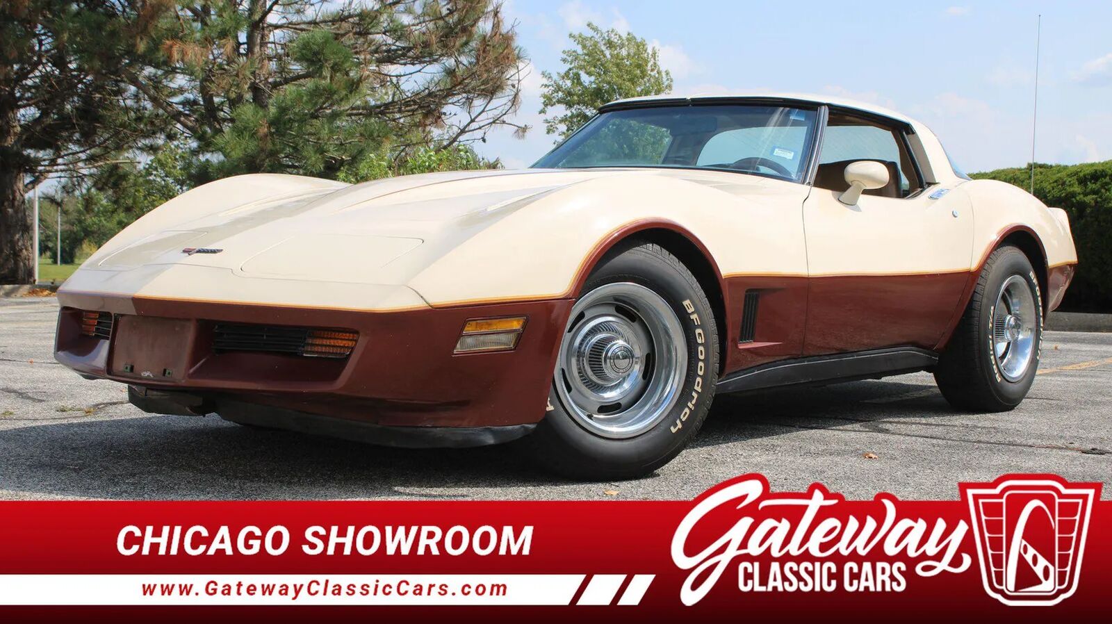 1981 CHEVROLET Corvette