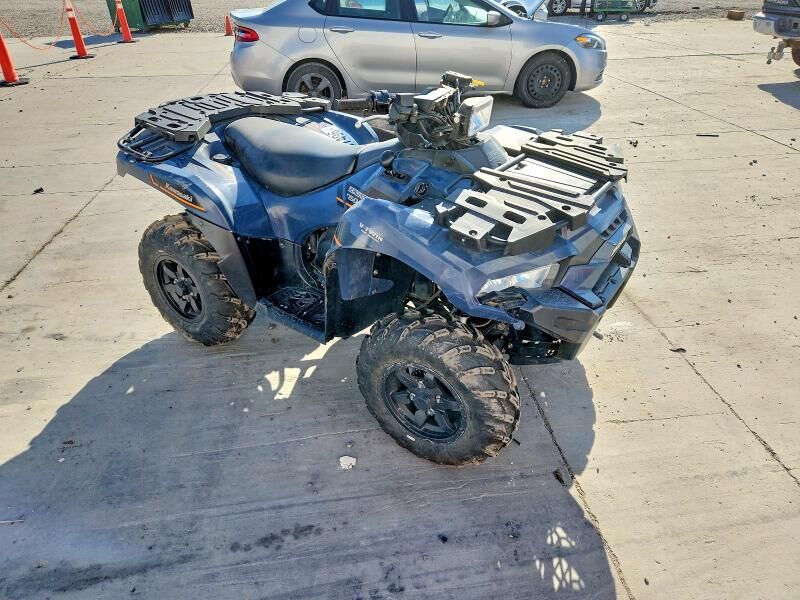 2024 KAWASAKI Brute Force