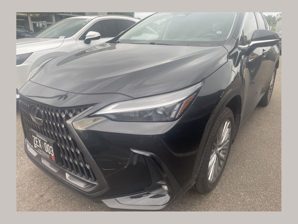 2025 LEXUS NX