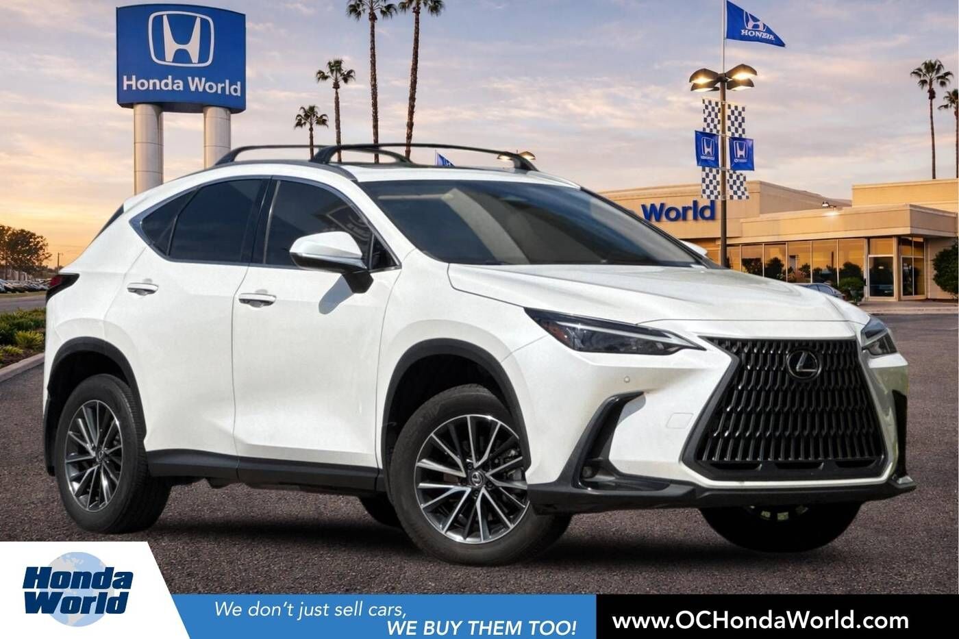 2024 LEXUS NX