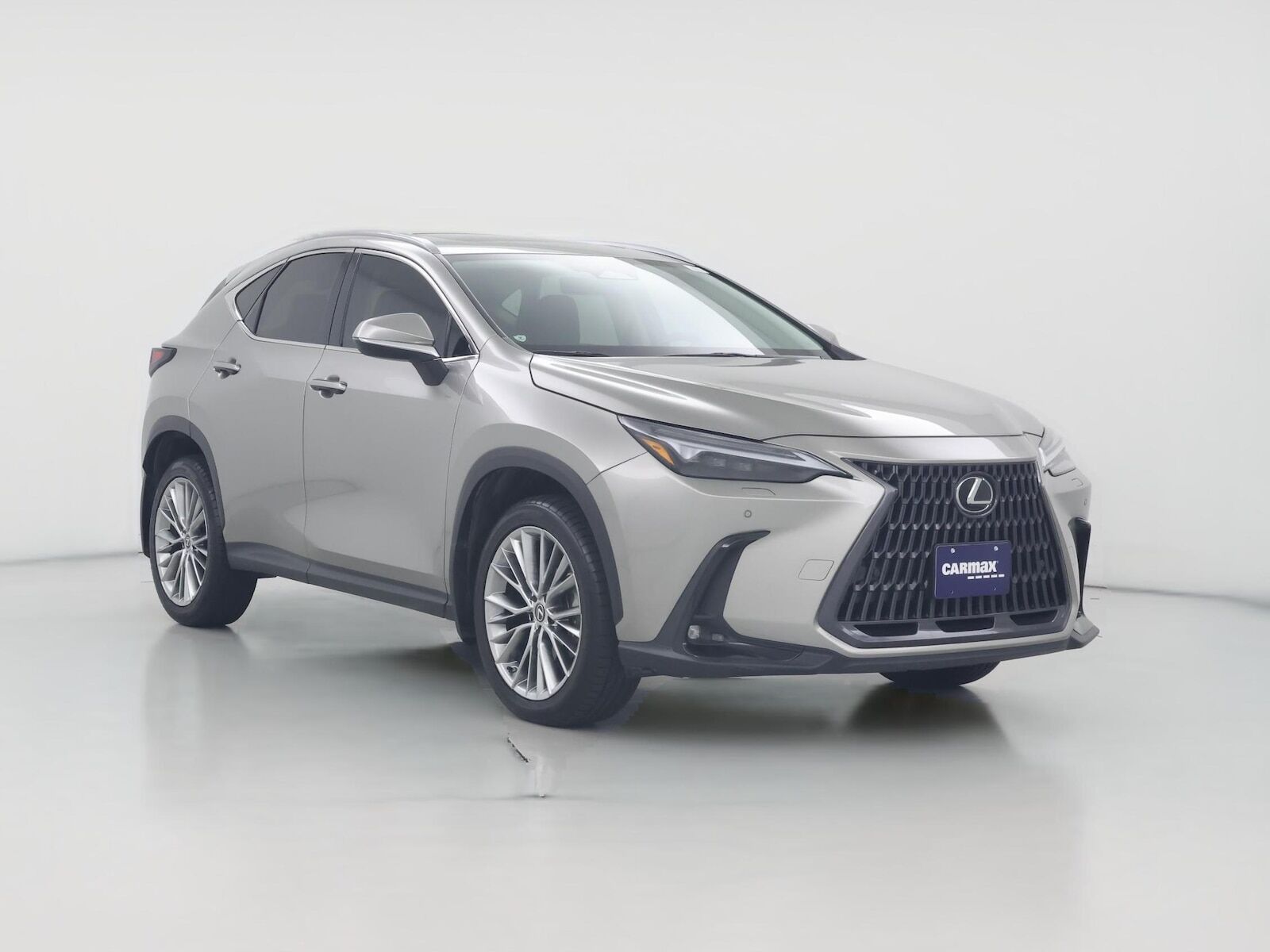 2023 LEXUS NX