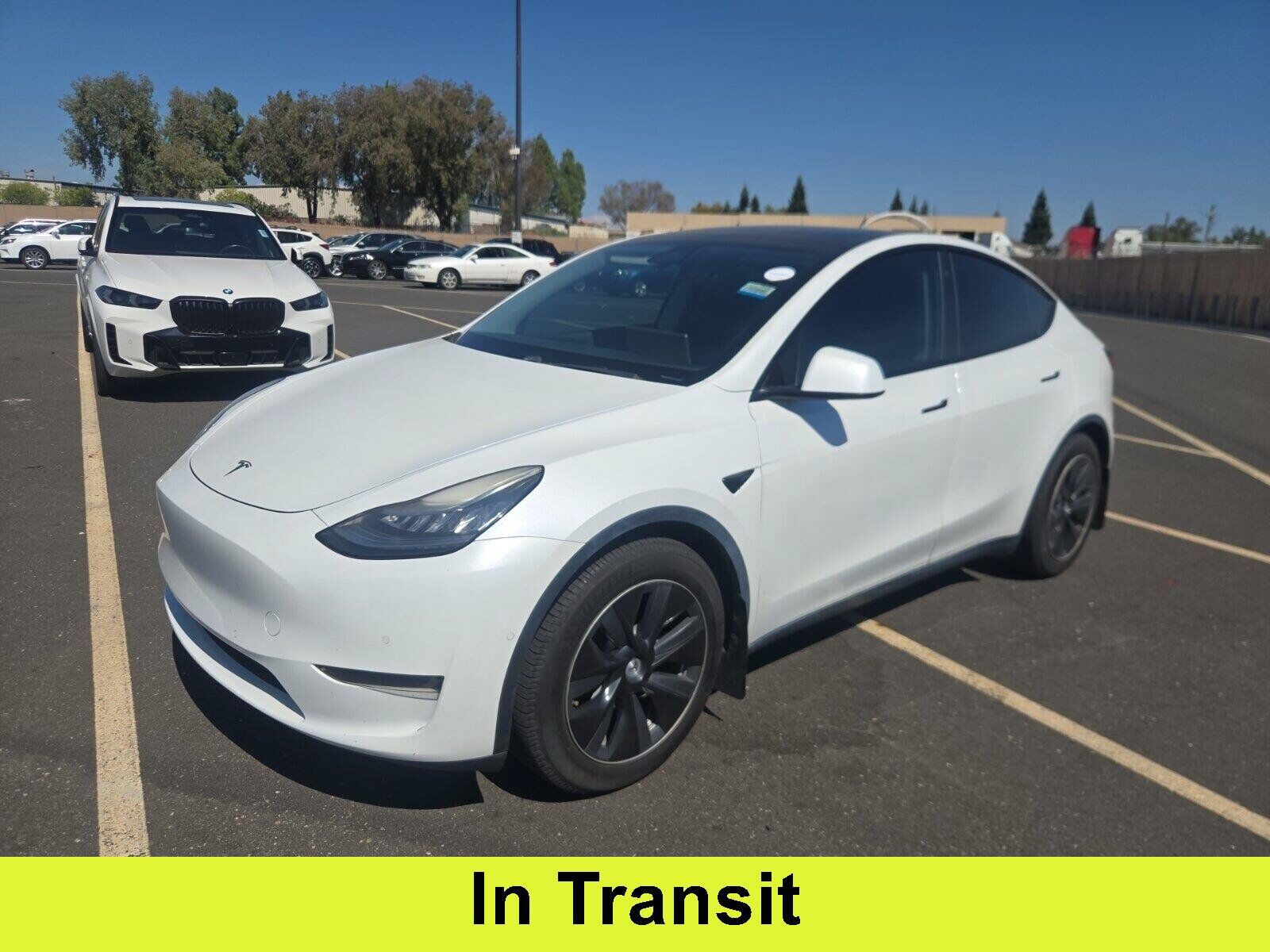 2020 TESLA Model Y