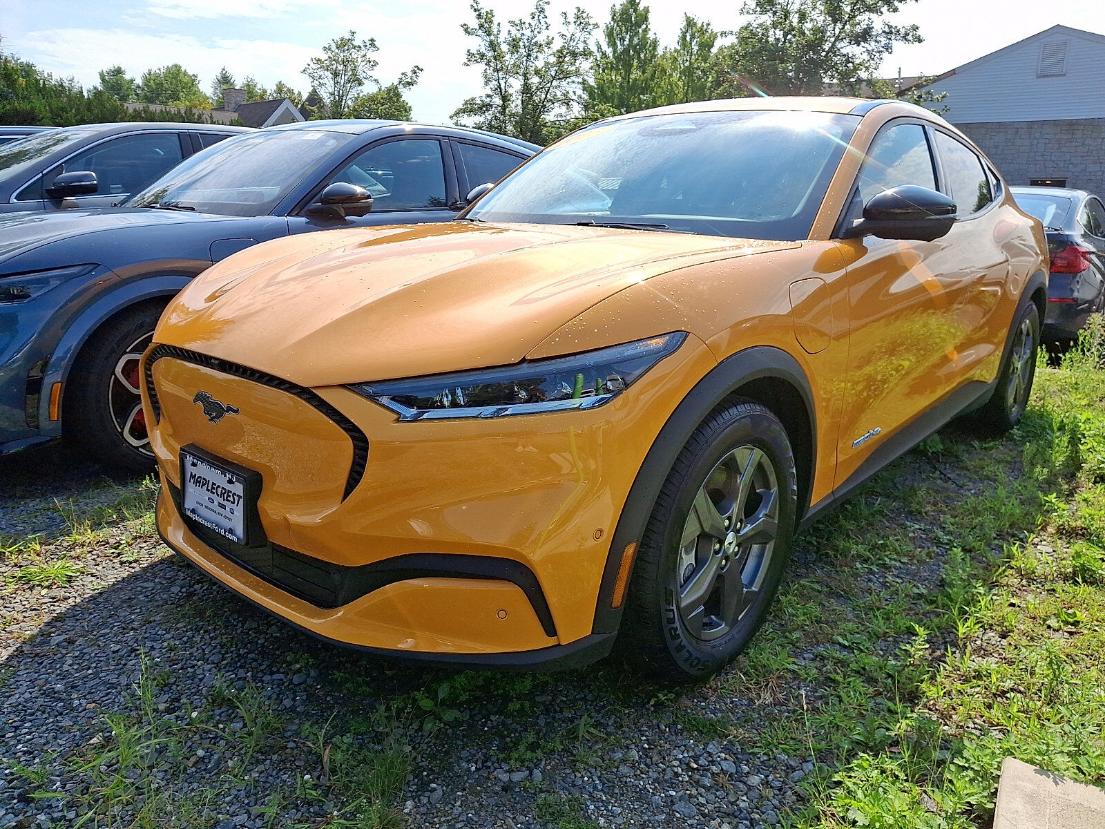 2023 FORD Mustang